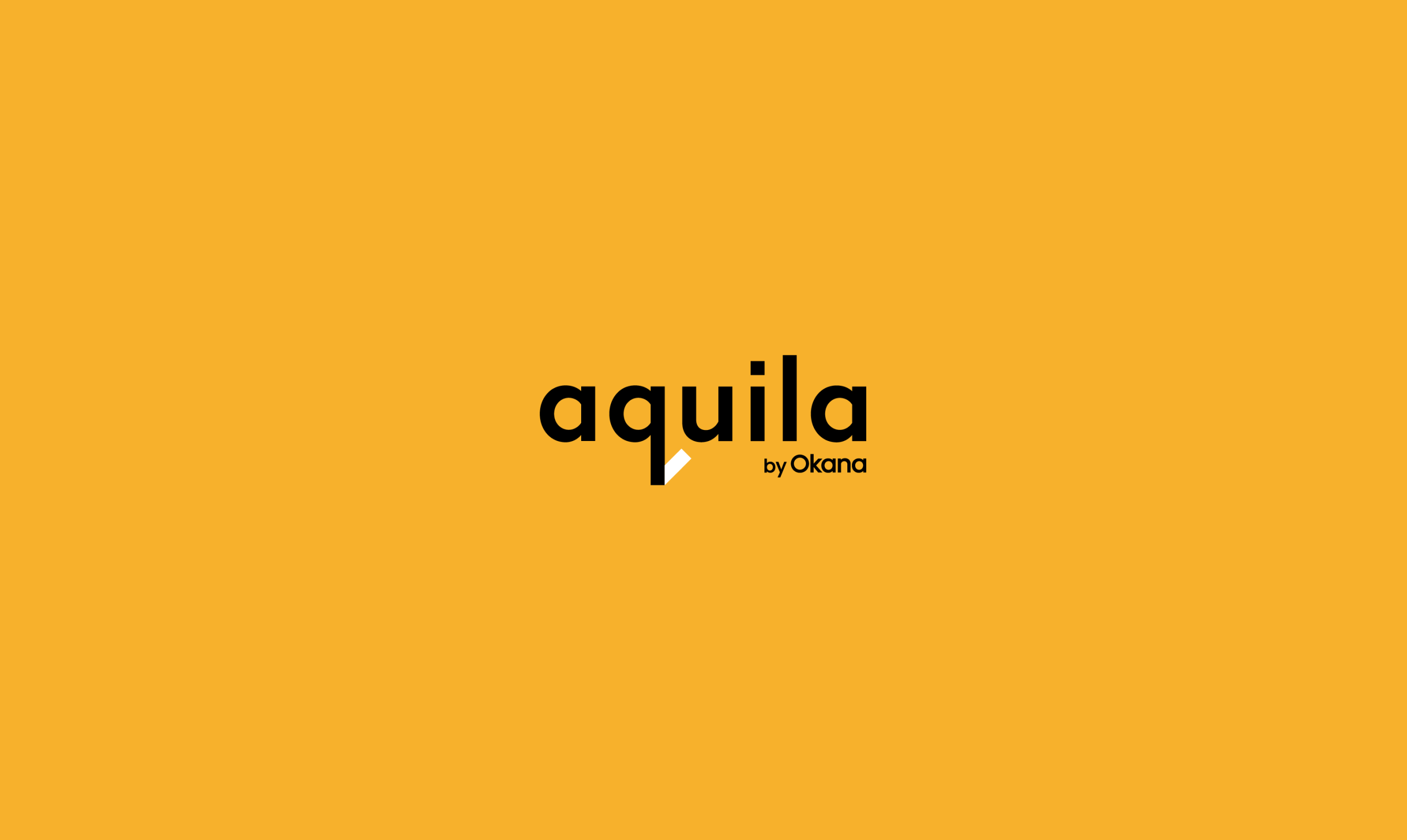 The Aquila brand identity
