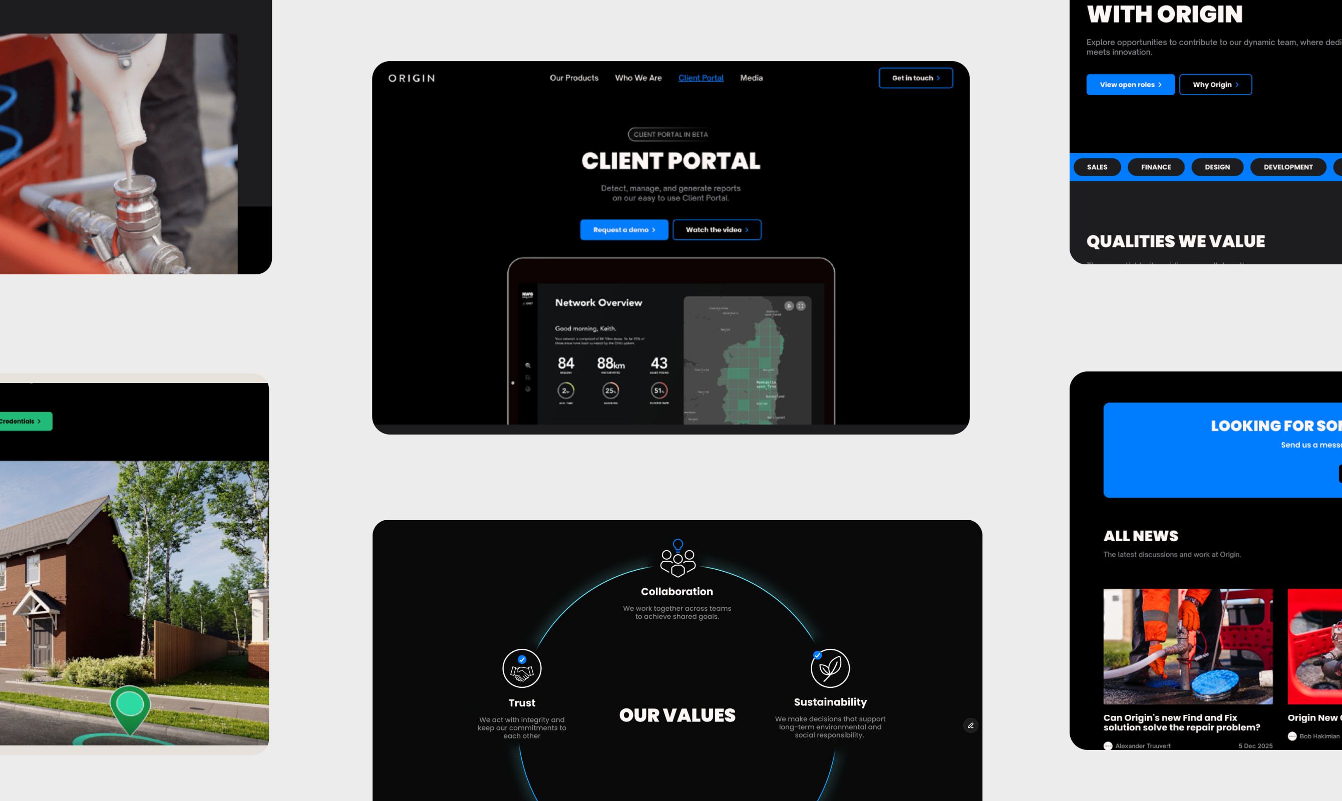 Screens from the Origin client portal
