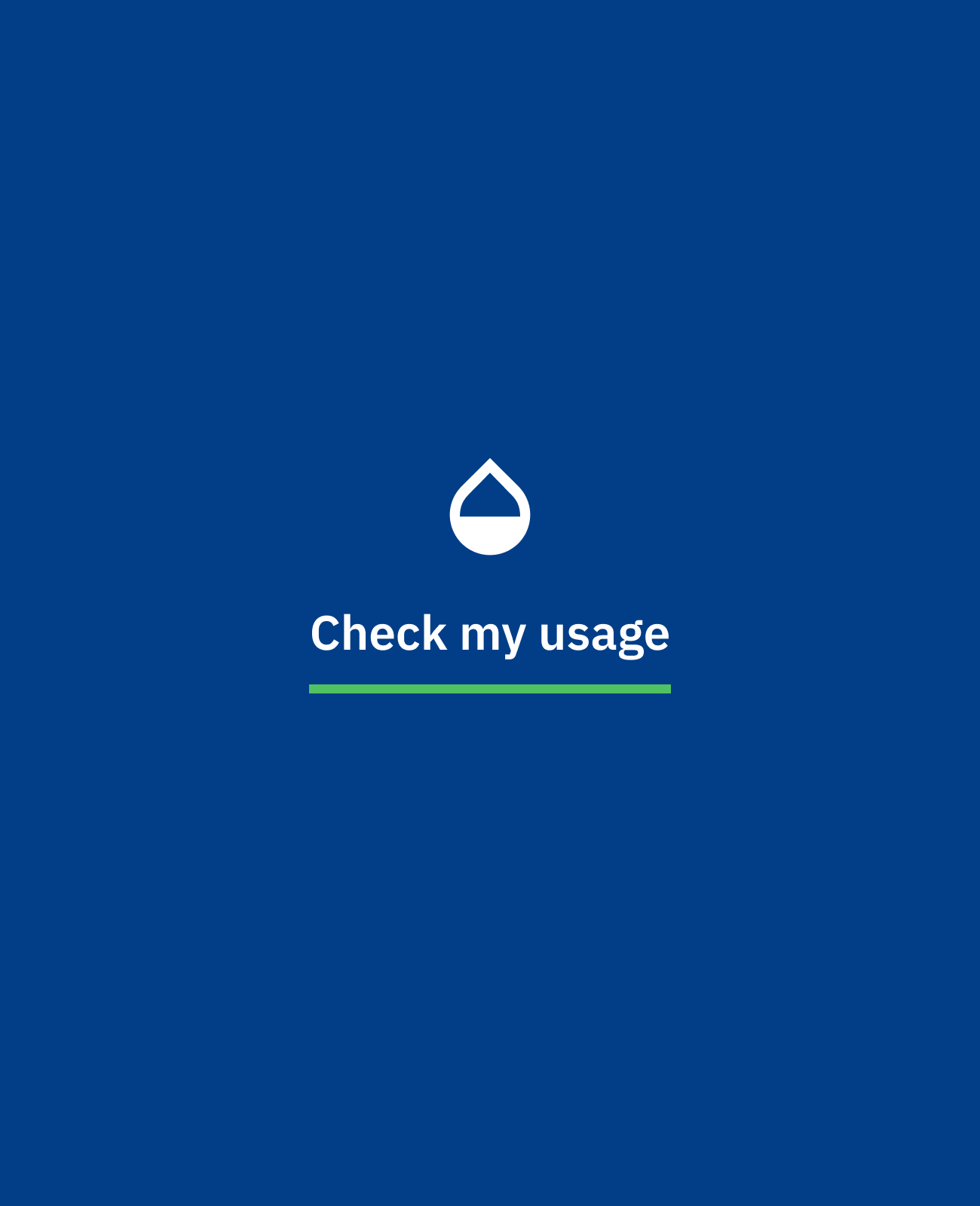 The check-my-usage flow